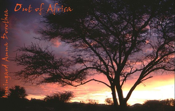 Out of Africa